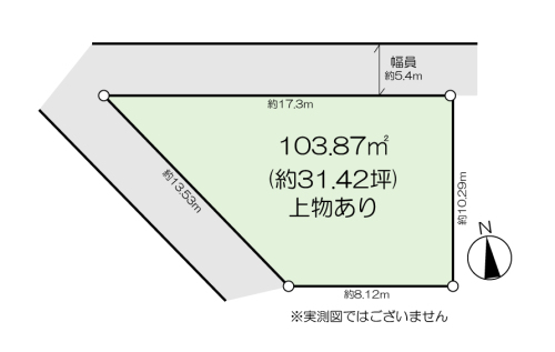 1174-1-153851.jpg