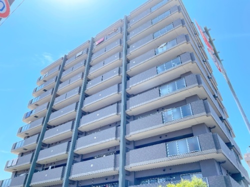 727-2-112617.jpg